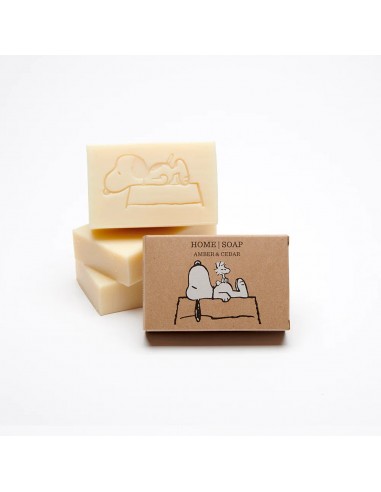 Snoopy Soap - Home