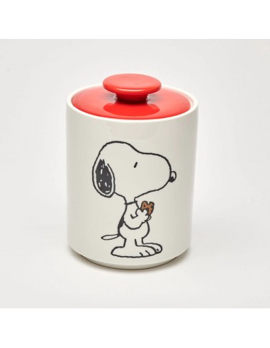 Snoopy Cookie Jar